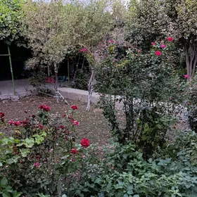 Саглык дача 6 соток