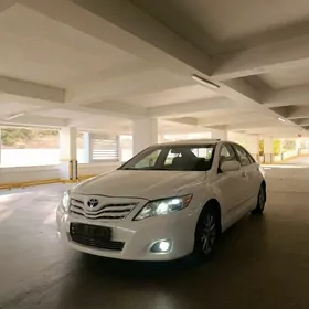 Toyota Camry 2010