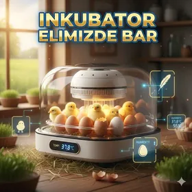 Inkubator Towuk Horaz Jüýje