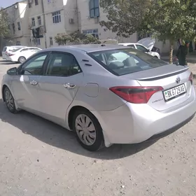 Toyota Corolla 2014