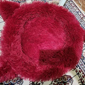 pisigin dusegi yatagy TAZE