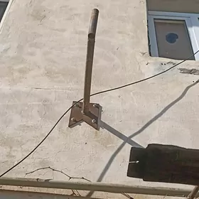 kiçi antenyñ tutbasy galyñ lis