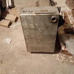 Atapleniya Neržaweýka baçok