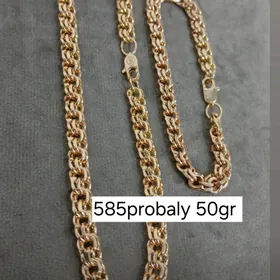 585probaly kardinal bujiteriya