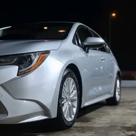 Toyota Corolla 2019