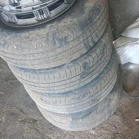 Disge teger 14 lik taYota