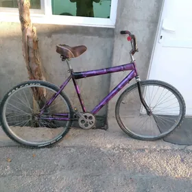 tigir gyssagly welik 26lyk uly