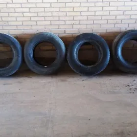 Ракырышка 225.70.16