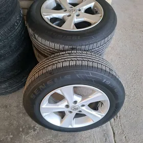 karola excusiv diska pakryska