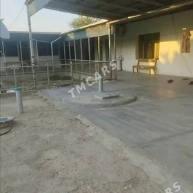 Satlyk jay Gyzylarbat