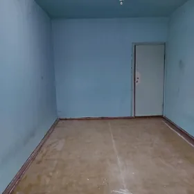 Satlyk jay eŷesinen