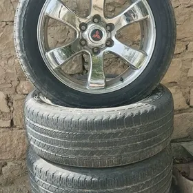 tigir diska pakryska