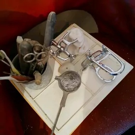 Stomatolog enjamlar toplumy