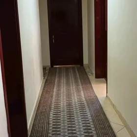 Elitka Podwoyiski 3kom Amatly