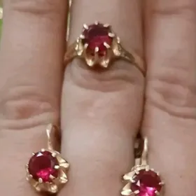 Таskent yuwulyan gyzyly KAMPLE