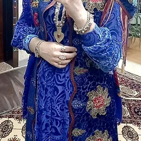 Don / nakitka /begres