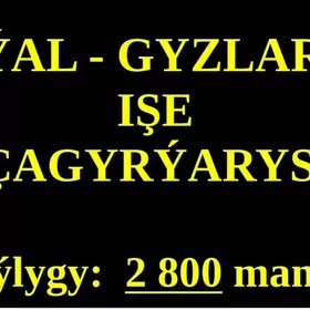 TEPLISA aÿal-gyz işgär alÿas.