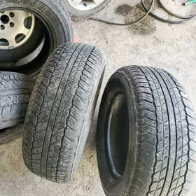 runner teker 265 65 17 dunlop