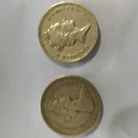 Kone. kagyz pullar ve tenneler