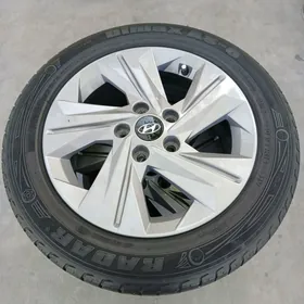 Hundaý disge pakryşga 16