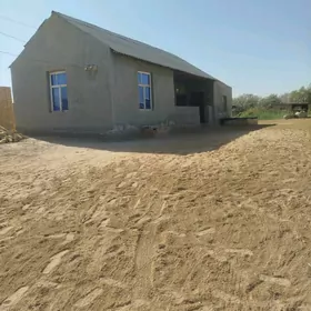 murgap gowsut bent kirf d/b