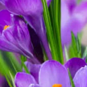 Magazine isgar gerek