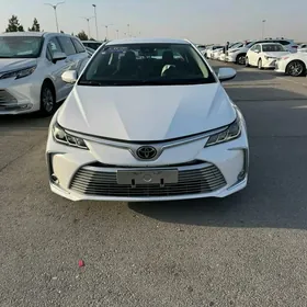 Toyota Corolla 2021