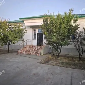 Arenda taze zaman 5kom plan