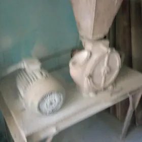 Сахарамолка