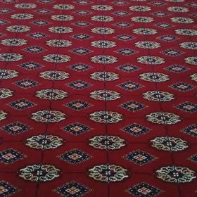 haly, халы кавер