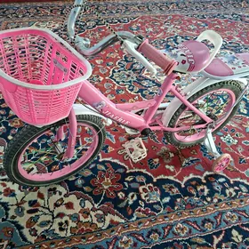 gyzjagazlaryn welsepedi