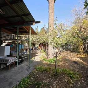 kemine kim rayon howly plan