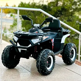 TIGIR HADINOK MATOR PARTA STOL