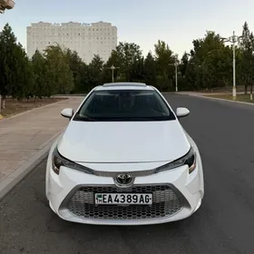 Toyota Corolla 2020