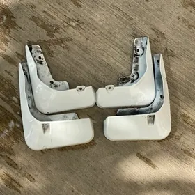 camry Brazgawik palta