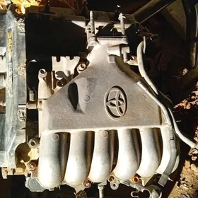 3/4 Матор прада