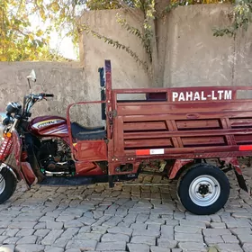 Fekon FK200-14G 2023