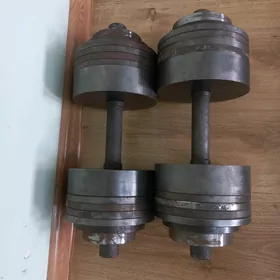 Гантели Стальные