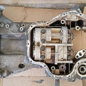 bolonsir korpus bilen