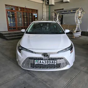 Toyota Corolla 2020