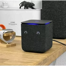 Алиса калонка