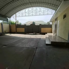 Satlyk coganly kotez