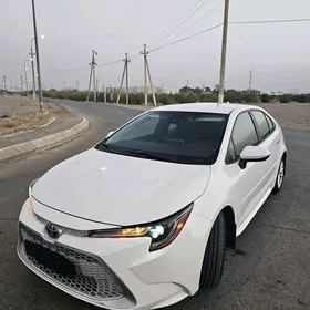 Toyota Corolla 2020