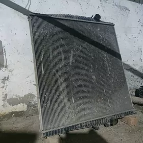 радиатор radyator