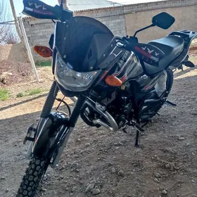 Fekon FK200-14G 2024