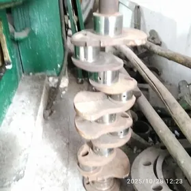 коленчатый вал