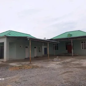 Şatlyk jay Ahal welayat ýaşlyk