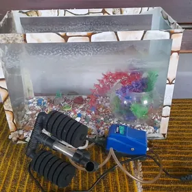 Аквариум Akwarim