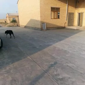 меллек  жай