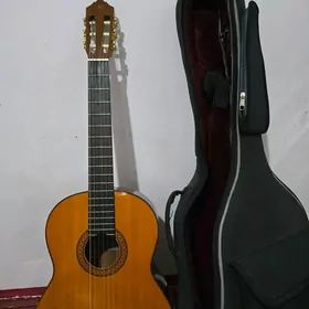 Yamaha C80 galyn ciholy bn